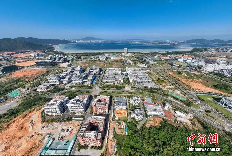 zoty中欧2026年1月起这些新规将影响大家的生活