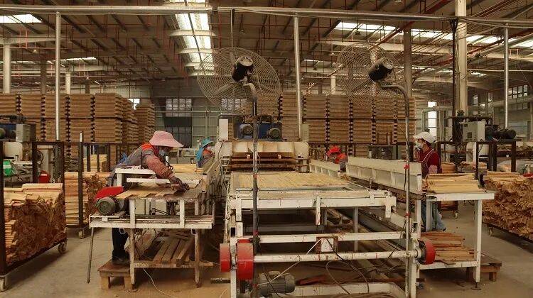 熊猫直播平台官网引进97家企业172个项目！三都森工以“企”为基迈向绿色资产新高地