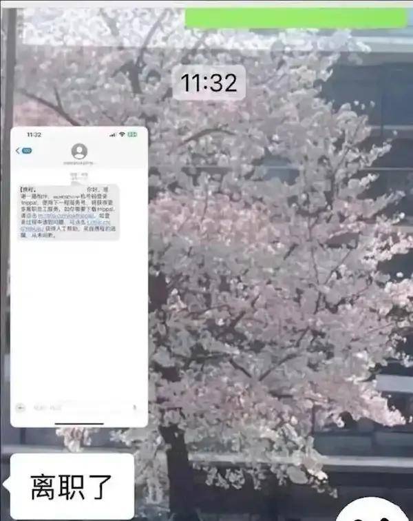 曝携程误发全员离职通知，网友：人在工作中能捅多大的篓子