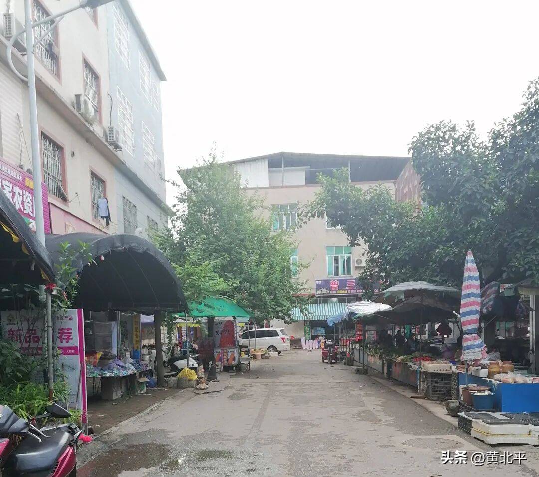 听说过没?宾阳这个镇,竟是因为洋人建桥而得名_黎塘_洋桥镇_阳桥