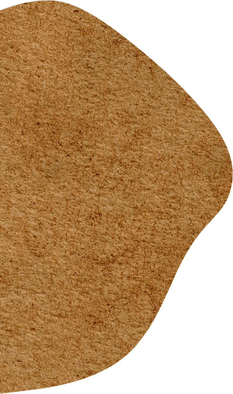 j9官网平台延图好声推荐（第二期）｜少儿精选书单：童话永不散场(图2)