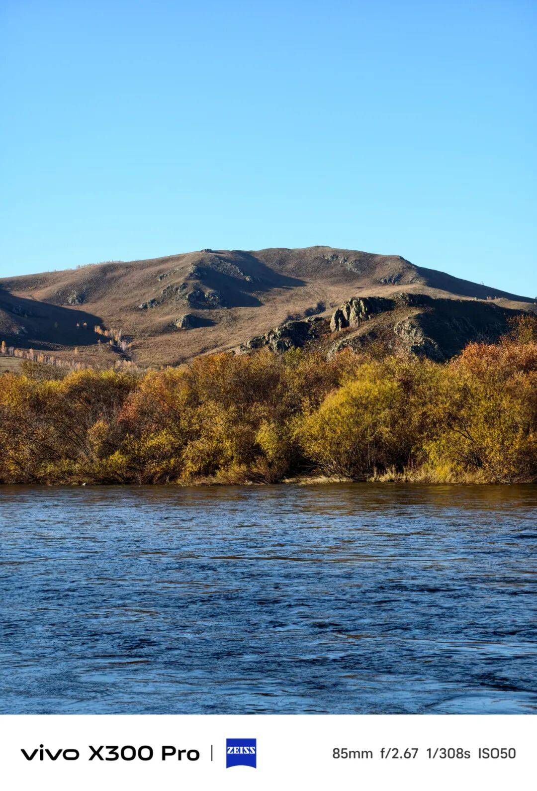 那些外国博主们，怎么突然开始吹中国手机了？？？