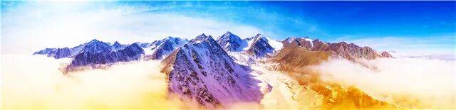 db电竞官网app【