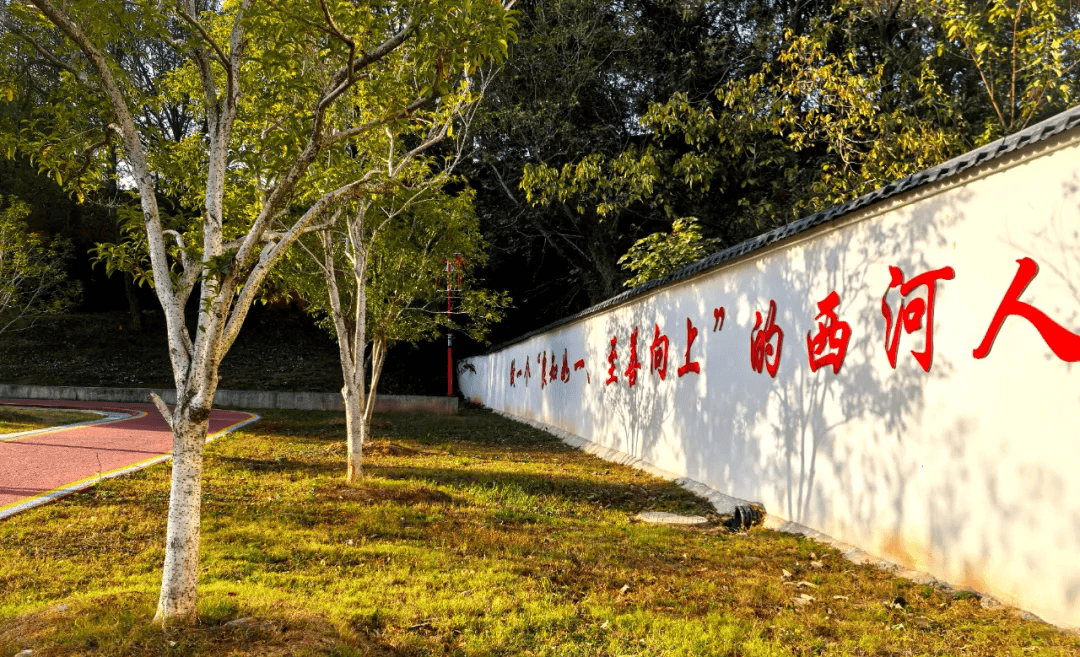 月光下的秘密—一个关于掠心故事的真实经历