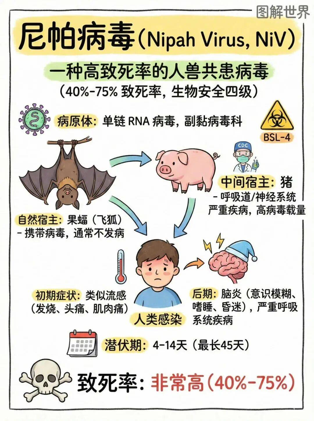  印度疫情是什么引起的(印度爆发了什么疫情)