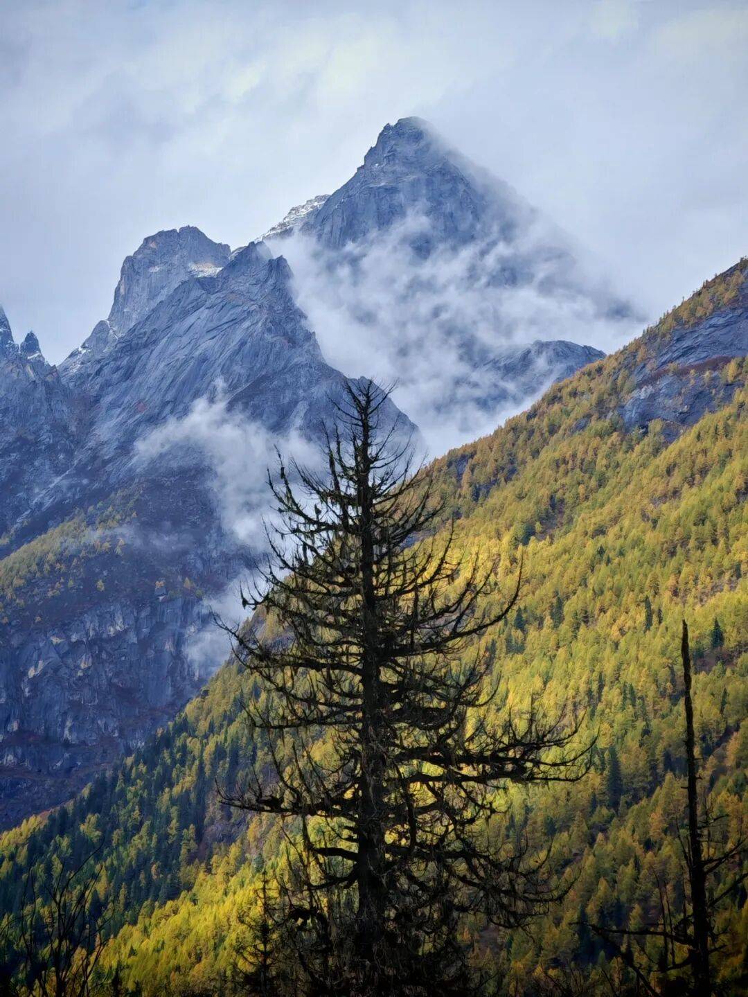 图片[47]-人均旅行焦虑的时代，我们为什么还要出发？-华闻时空