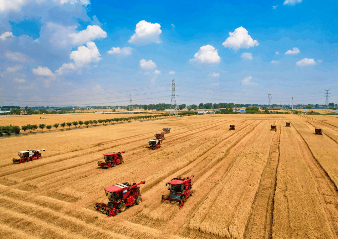 想不到这些“重器”都在阜阳
