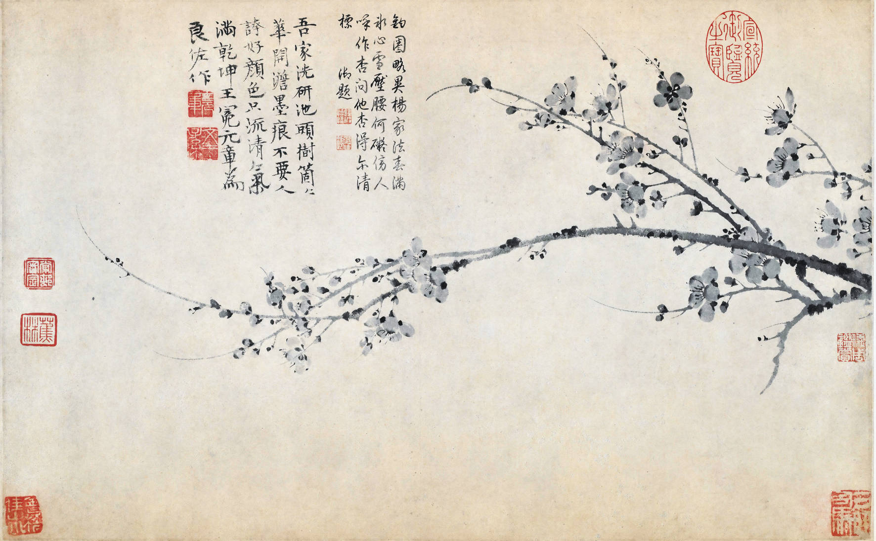 品读中国花鸟画艺术之美