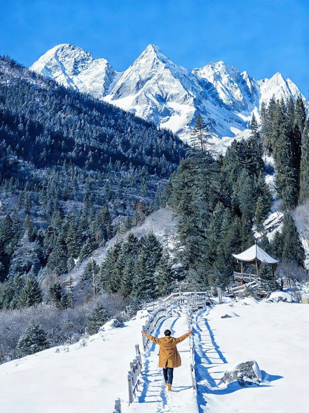 目睹了达古冰川的冬日盛景一时搞不清在天上还是人间