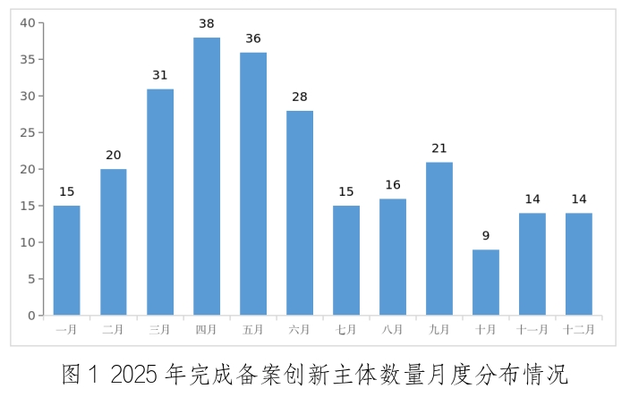 2025年度松江区专利预审情况分析报告_案件_主体_服务