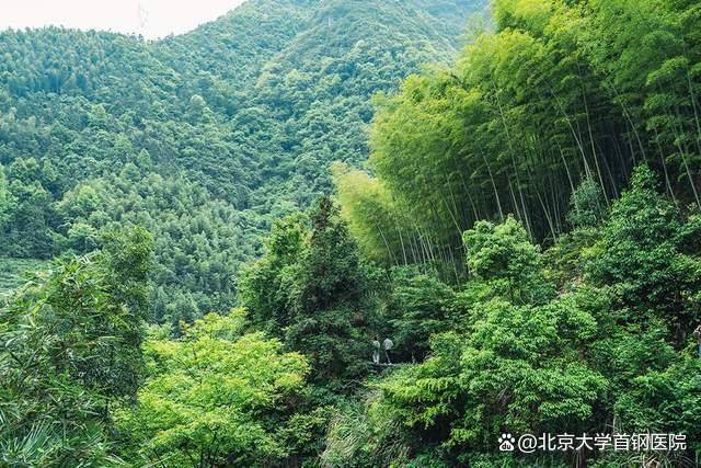收好这份养生攻略｜24节气健康说