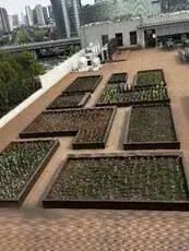 2025年研究生思政精品项目展建筑学院：美育沁心·多维营境—