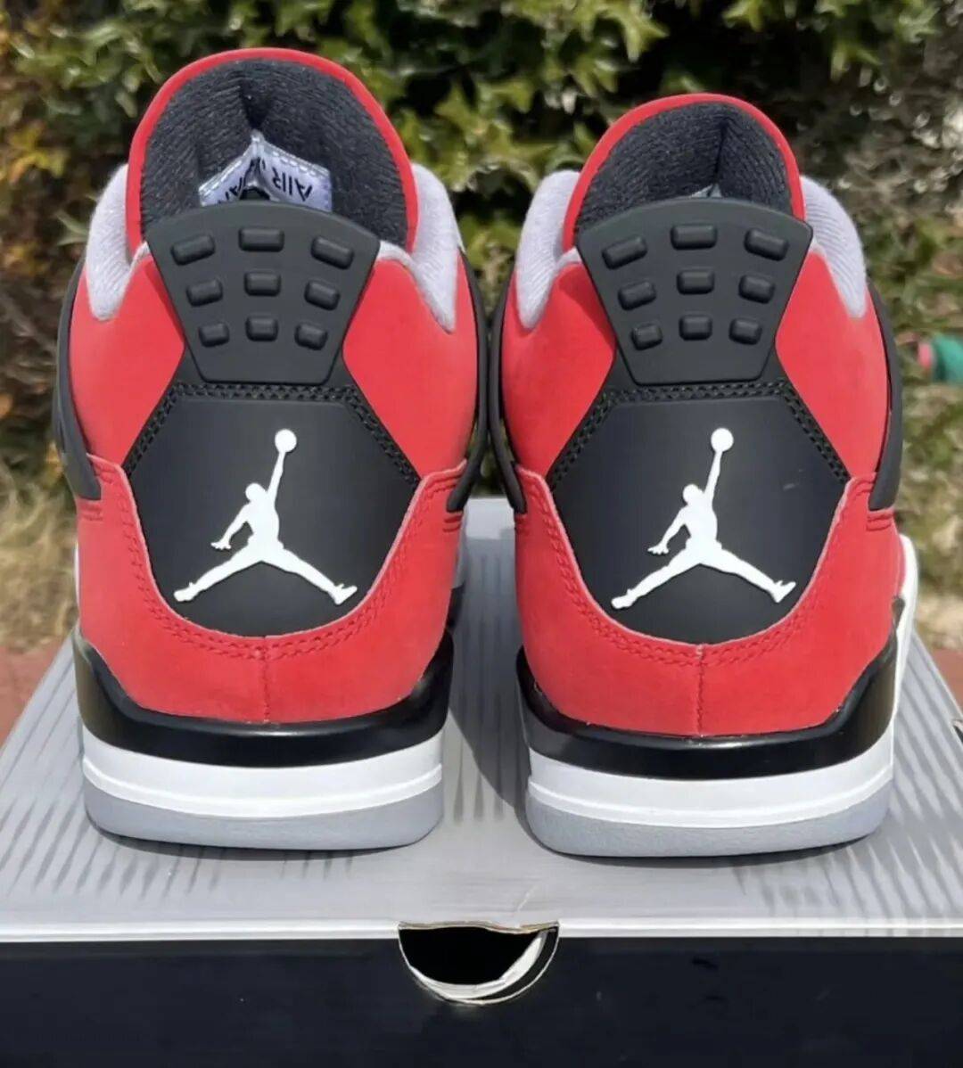 JordanMA2