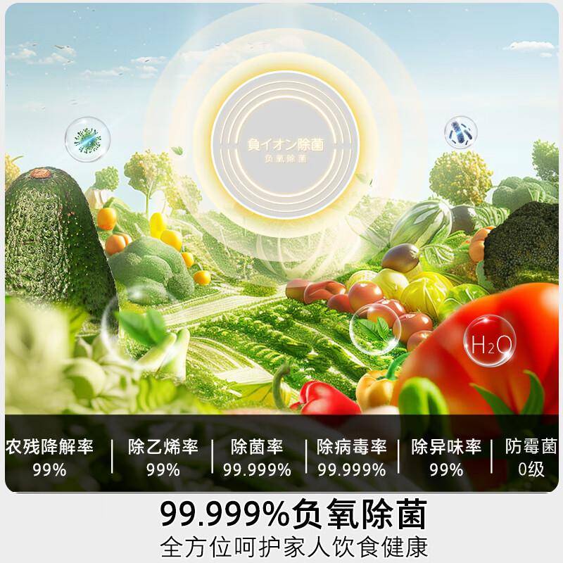 东芝黑钻石冰箱：嵌入式厨房的优雅解决方案