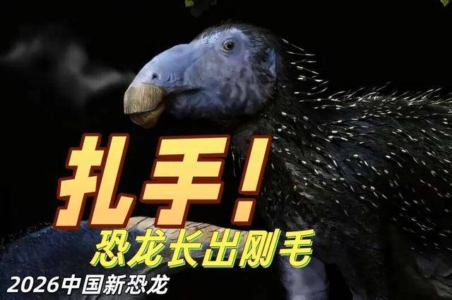 中国新《恐龙》有点扎手