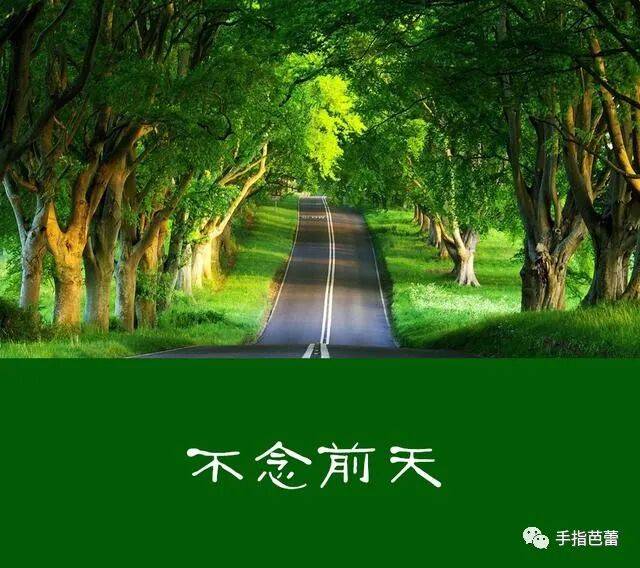 人这一辈子 就那么五天_前天_人生_后天
