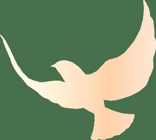 清华社2月重点新书 | 在技术变革之中，拓展认知边界