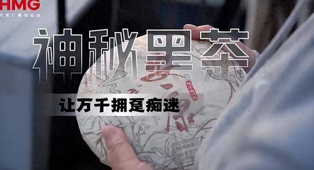 湖南金字塔骗局曝光！专挑离异下手只尊龙凯时- 尊龙凯时官方网站- APP下载要掏