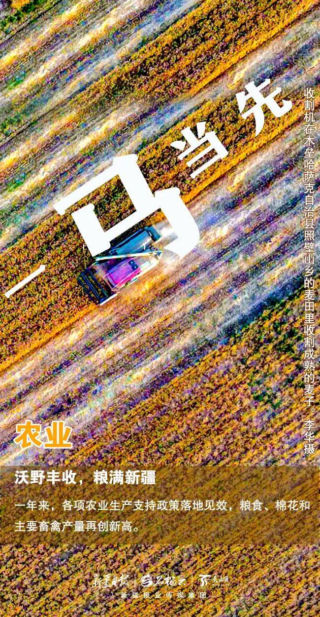 策马追光·共赴新程丨看,这是一组新疆自己写的马字组海报_发展_尔德·巴德力汗_冯方圆