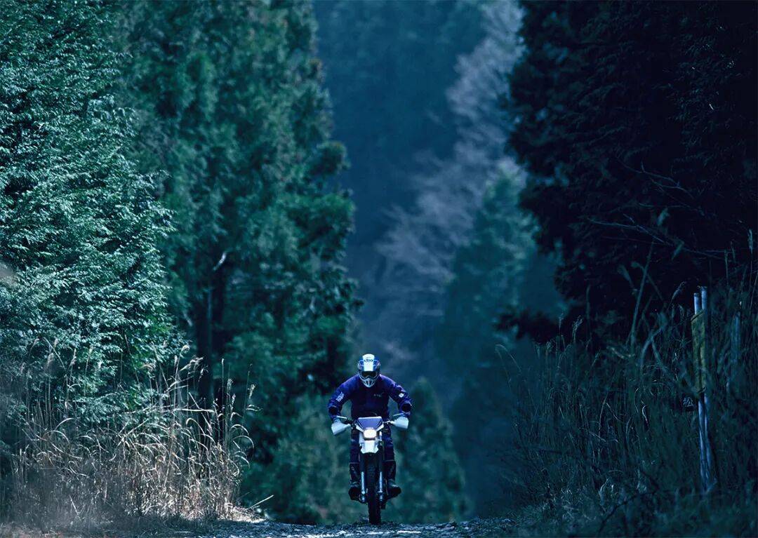 最适合轻度越野骑行的“MountainTrail”车系(图1)