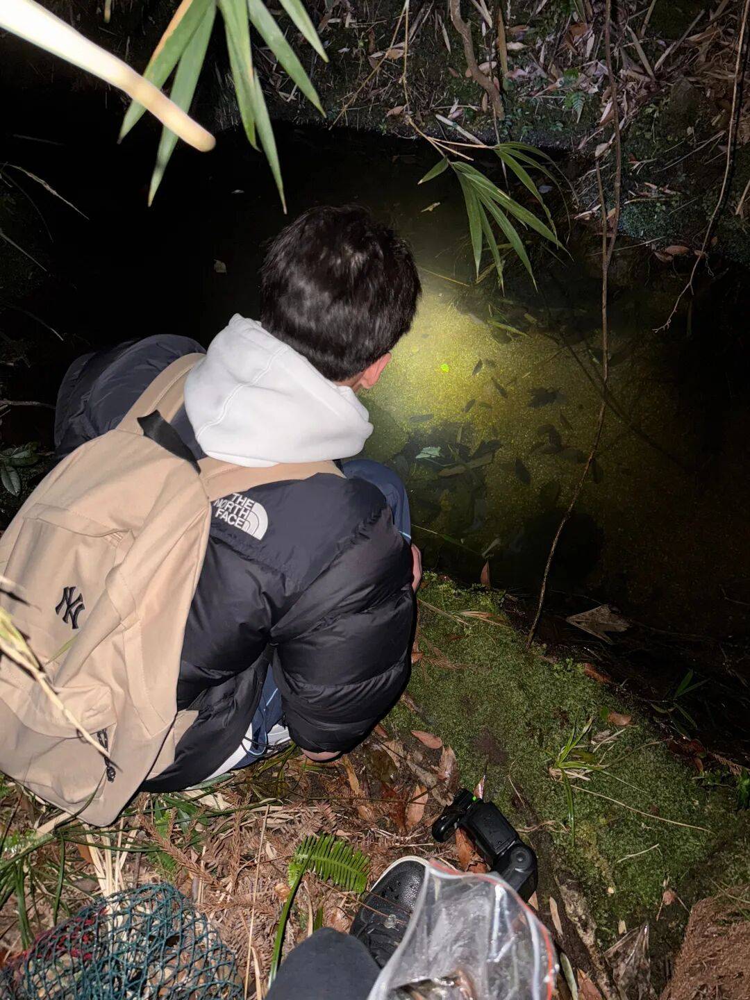 17岁高中生发现新物种括苍山脊蛇，与他人联合发文登上SCI，当事人回应：父母都是普通人，全凭热爱坚持