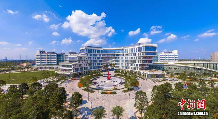 一杯咖啡的距离链接广州南沙的技术和市场