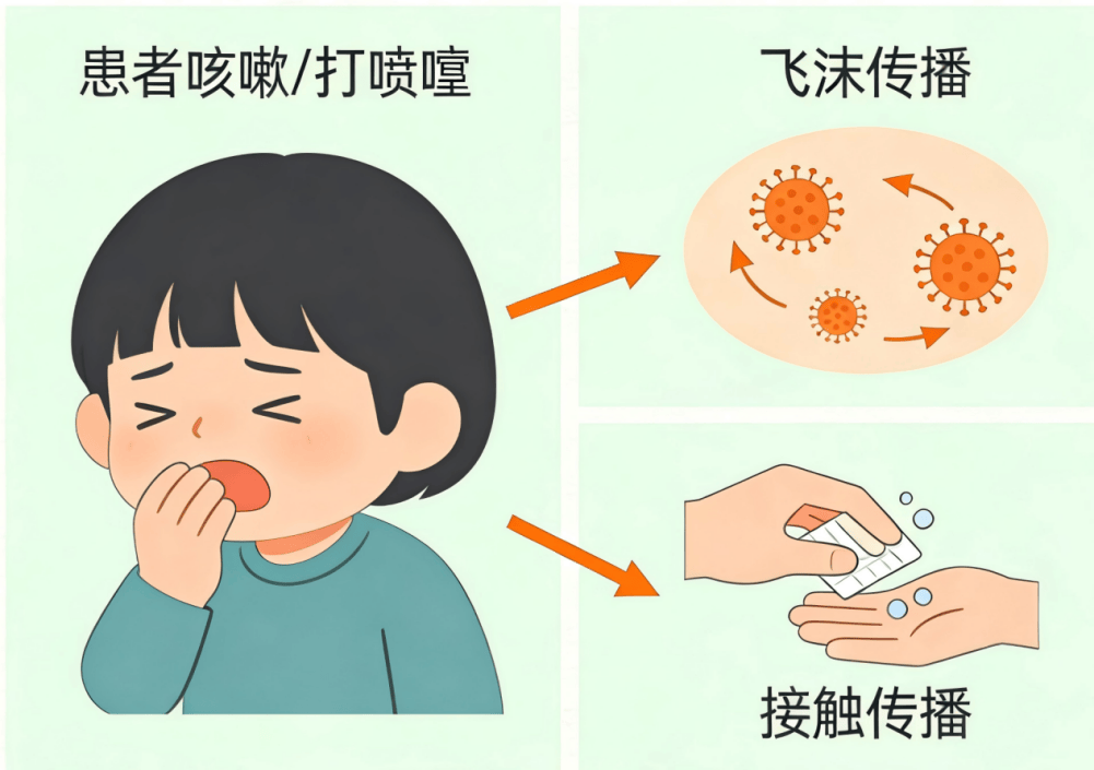 读懂“痄腮”，科学防护不慌张！_发病_接种_腮腺