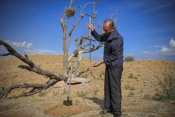 中国人种树到底有多厉害？ 图4