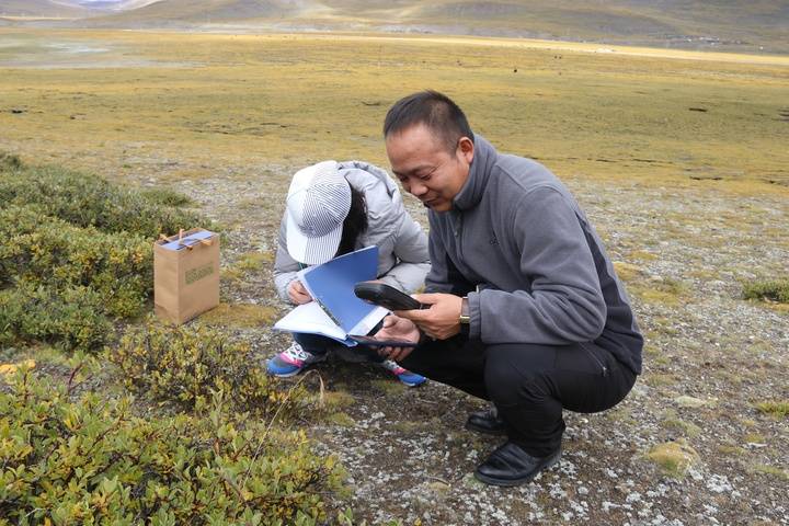 中国人种树到底有多厉害？ 图9