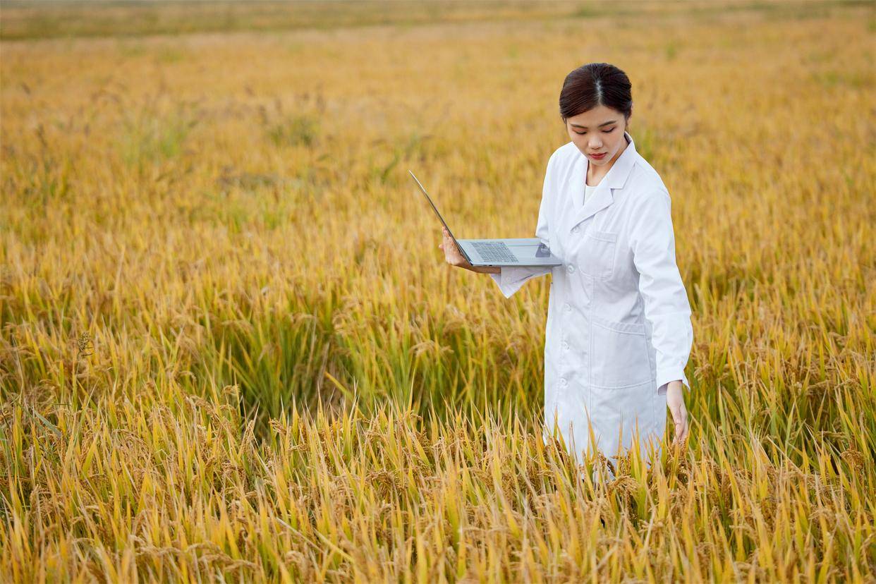 以为领免费保险，结果自动扣费上万元，隐形扣费