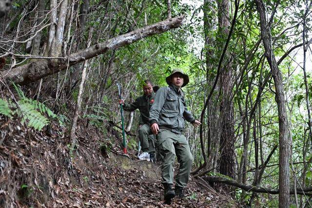 跟着护林员去巡山：每天都是一场“10公里山地越野”