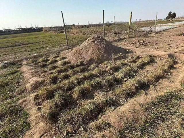 “三姐妹给父亲上坟被炸身亡案”家属最新发声：直播时2次遭死亡威胁，“请帮我保住最后一个妹妹”；</p><p>警方已立案侦查