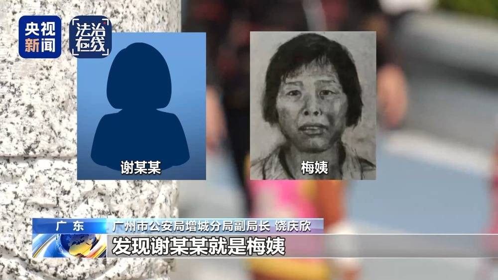 法治在线丨“梅姨”如何落网?何时公布照片?警方披露案件侦办细节