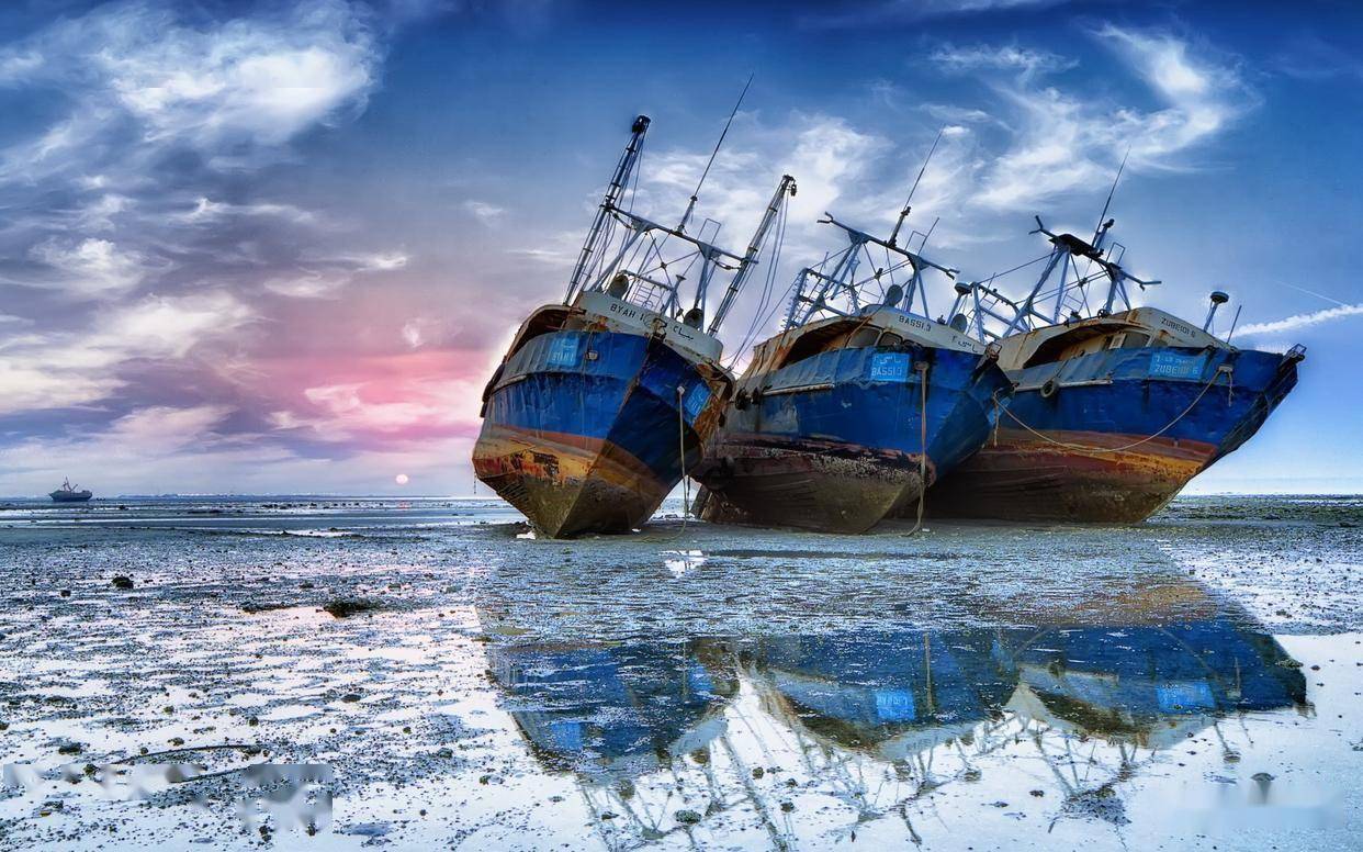 坐怀不乱指代表什么生肖、词语落实释义解释 (http://www.kingbaby.com.cn/) tiy 第1张