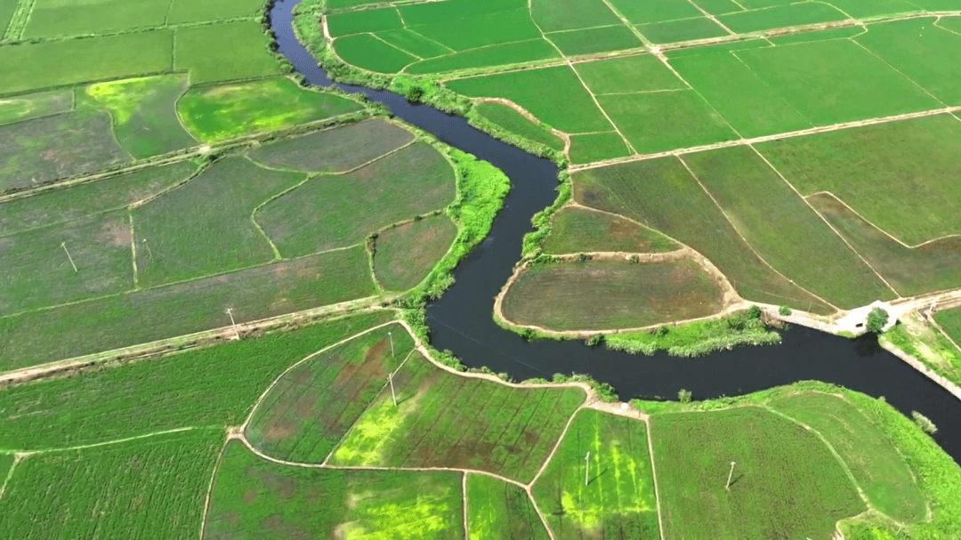 图片[8]-这座湖南小城的特产，最近多少人又馋又怕-华闻时空