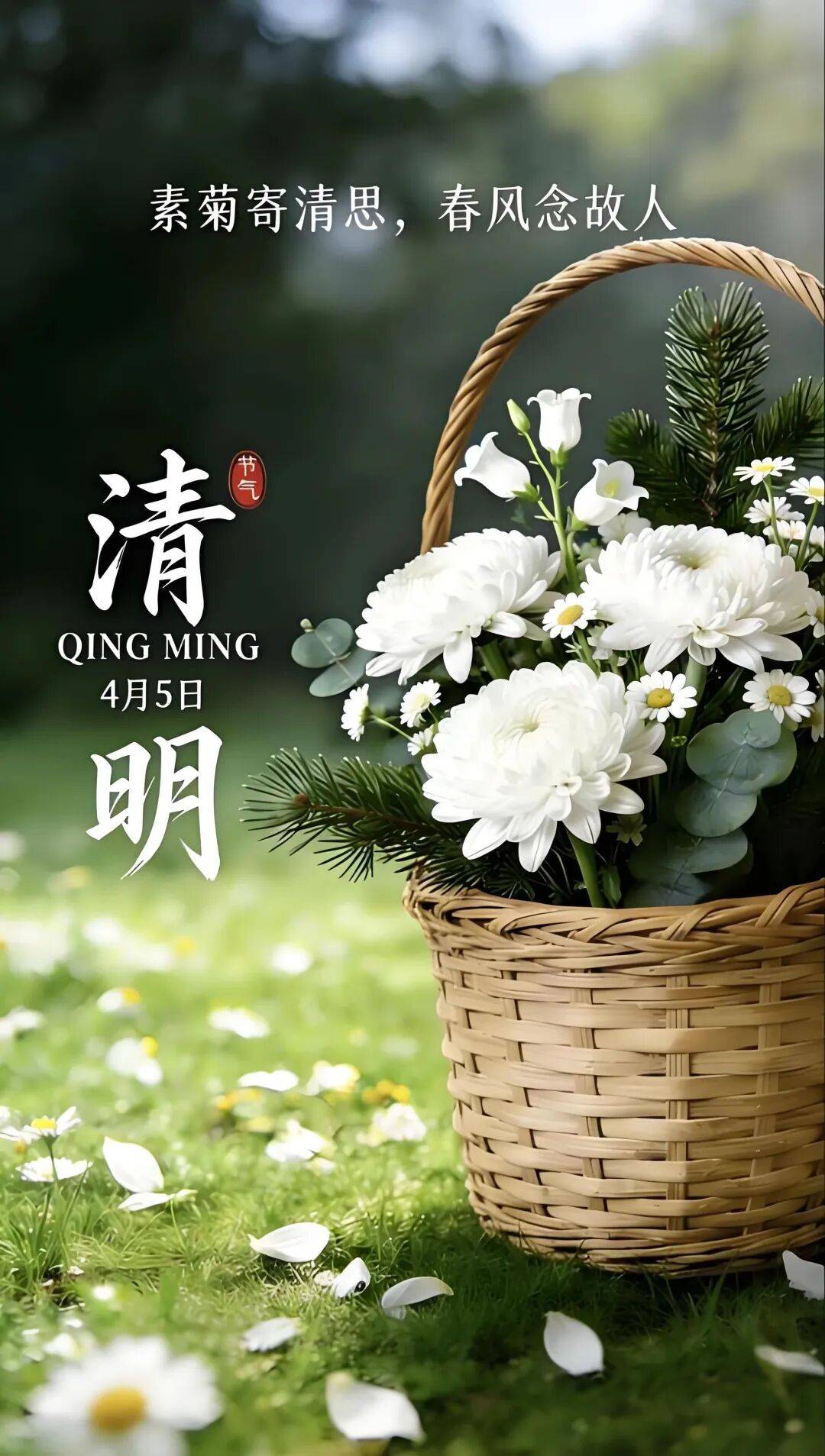 清明雨是我的泪水清明的风筝是我的思念;就让风筝飞向天堂它会带着