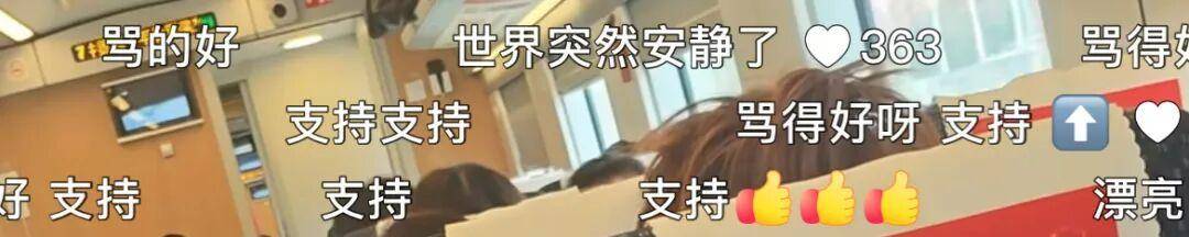 高铁上孩童吵闹大学生怒吼一声瞬间安静，当事人称事后遭网暴，12306回应：可求助乘务员，但“我们的职责只有劝阻”，会向上反馈