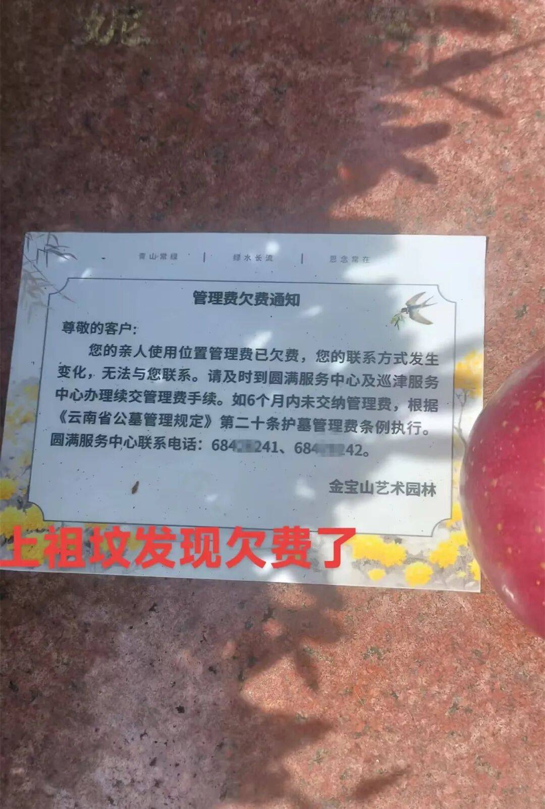 上坟发现欠费了墓碑上贴通知单园方回应️