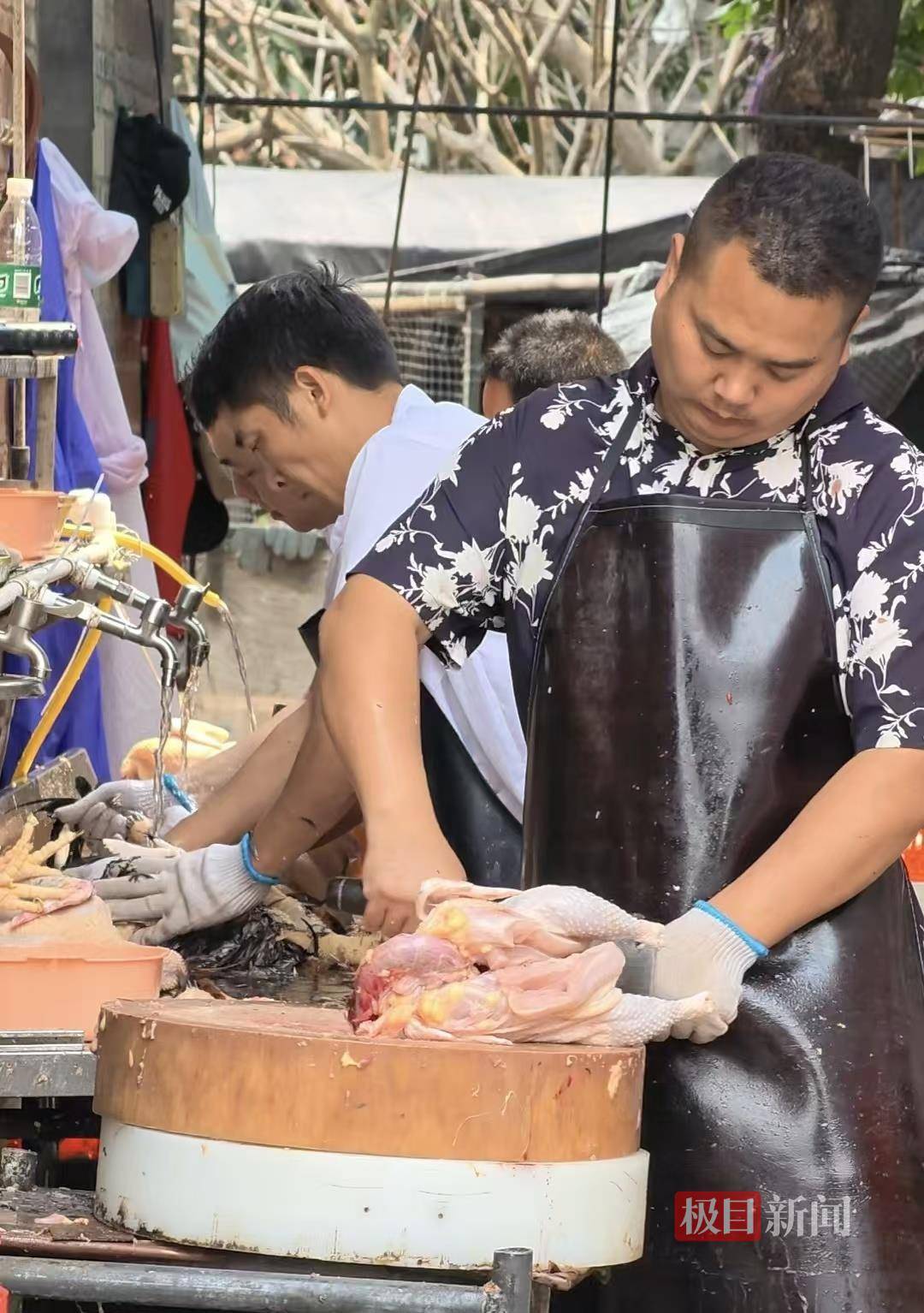 拔毛剁鸡对于此前莫氏鸡煲店老板是冰冻鸡的自黑冯先生说我看到