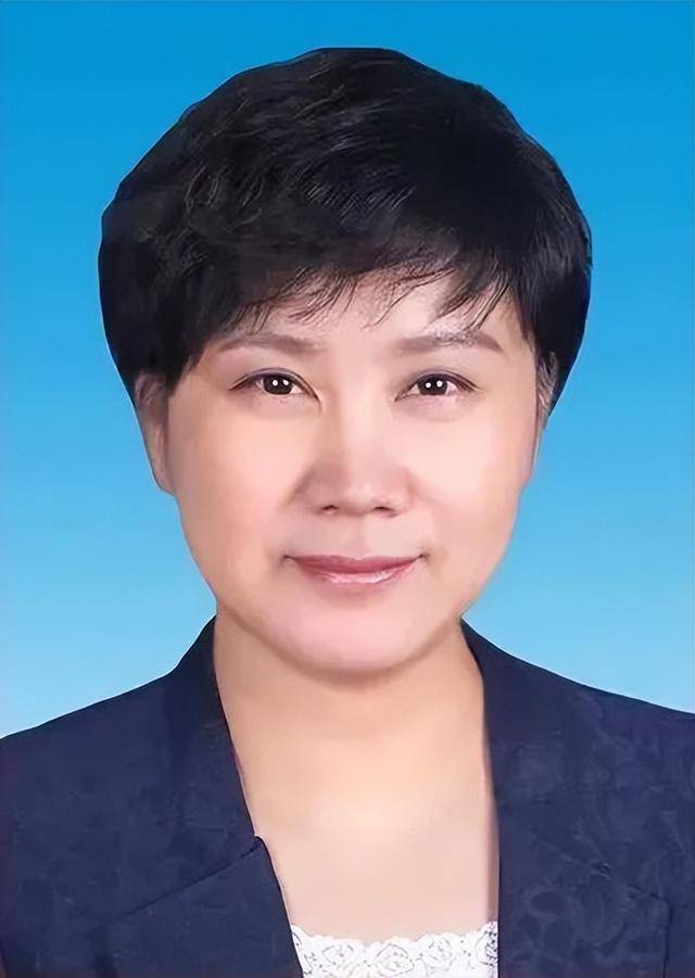 省级党委领导班子有调整_张玲_天津市_中央