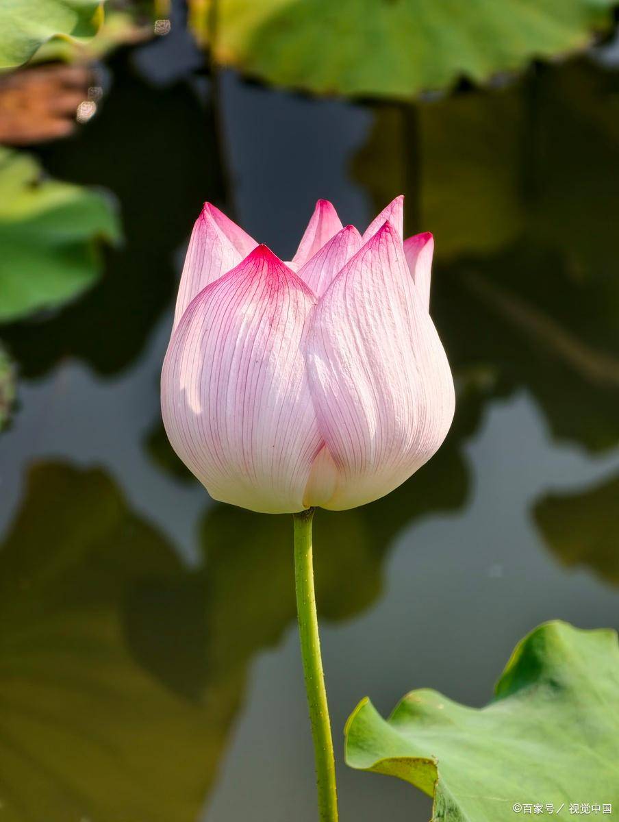 原创            太痛心了。同事的丈夫，41岁，昨天体检一切正常，今天人就没了。同事的丈夫，才41岁，昨天刚拿到体检报告，心电图、心肌酶全都正常。医生说身体没什么大问题，注意休息就行。结果今天早上，心源性猝死，没有抢救过来。孩子才10岁，父母身体都不好，全家就靠他一个人挣钱养家。他走了，这个家怎...