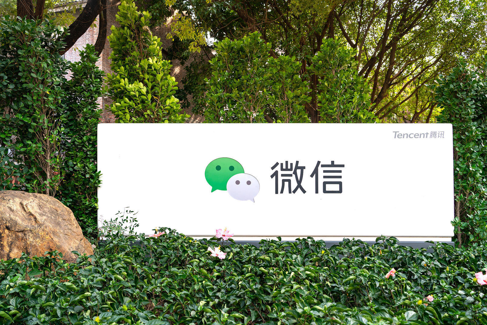 微信回应“微信状态能查看访客记录”：已停止测试状态浏览者人数展示功能
