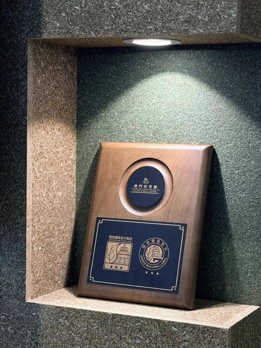 助力包揽冠季军、拿下官方认证！滨海湾青创企业“茶甡”闪耀澳门环保展