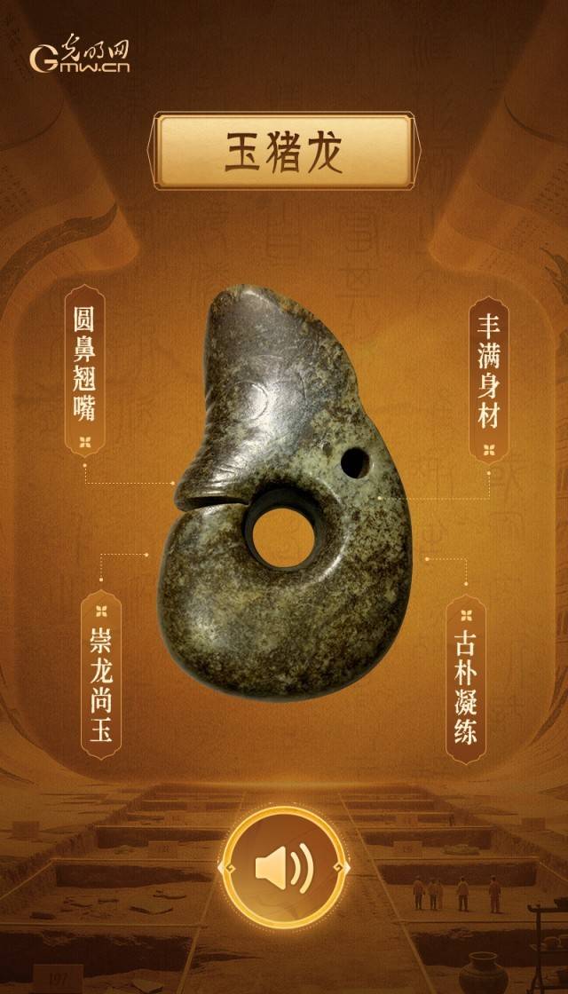 稀世金玉齐聚，见证多元一体文明华章_搜狐网