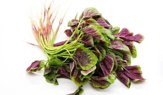 原创            苋菜立大功！医生发现：苋菜对这4种疾病有好处，可以常吃