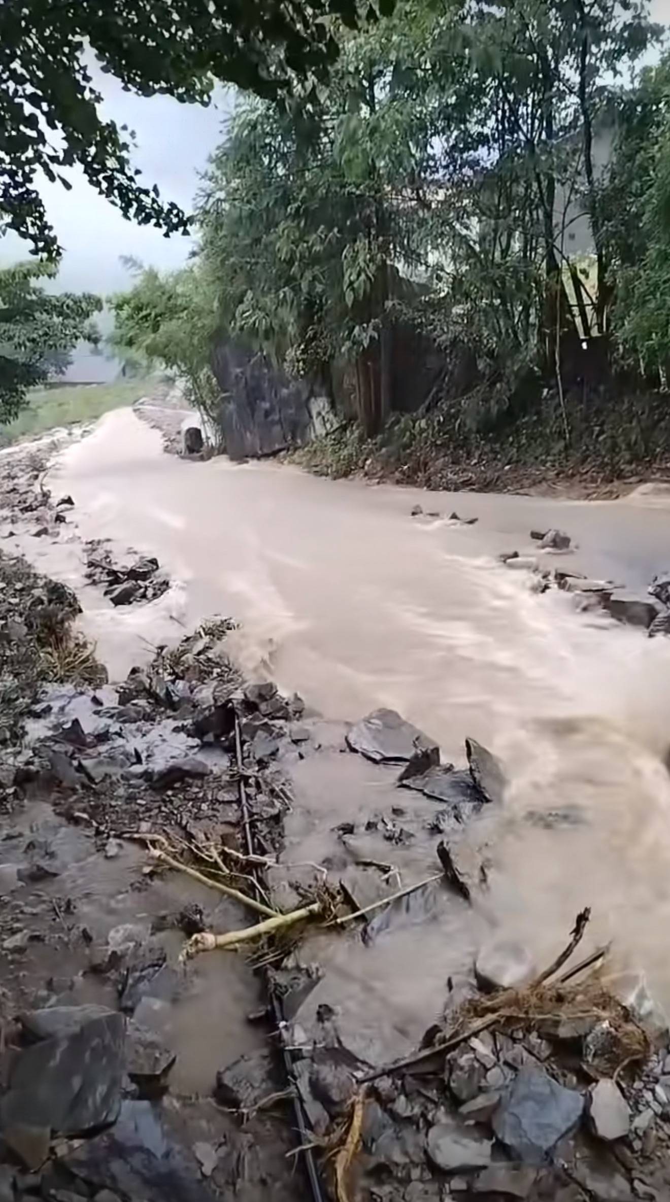 暴雨下的石门金河村：洪水两次来袭“几秒就到”，滑坡泥石流齐发