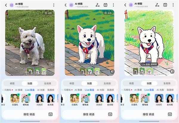 文章配图-31