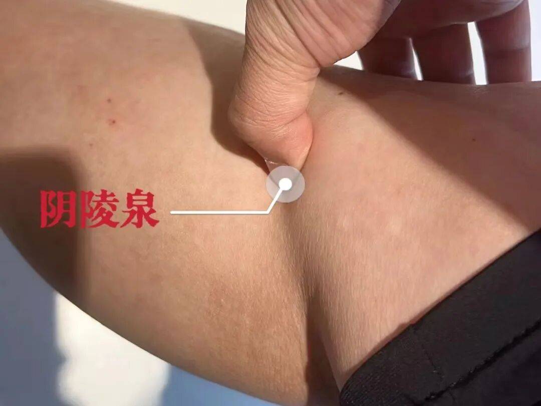 贤医健康说 | 闷热“桑拿天”浑身黏？祛湿穴位+食疗，告别湿热困身