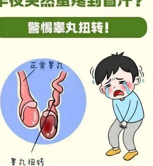 科 普||有些“蛋疼”真的不能忍！6小时黄金救治期，错过不可逆
