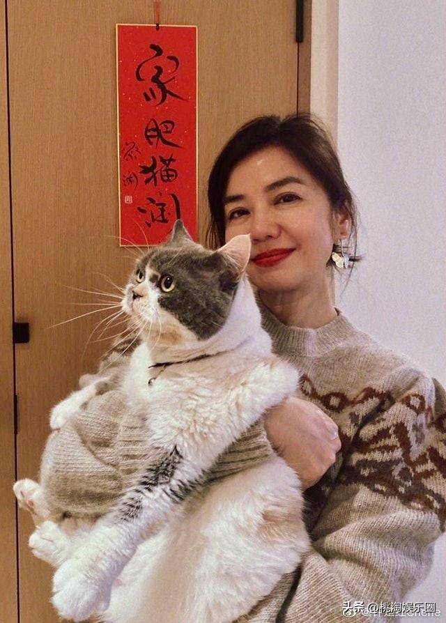 文章配图-2